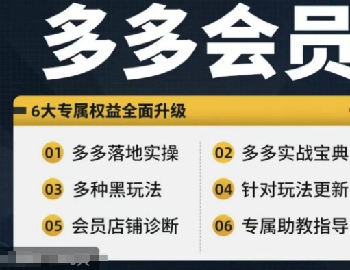 拼多多开店会员，拼多多实战宝典+实战落地实操，从新手到高阶内容全面覆盖 - 163资源网-163资源网