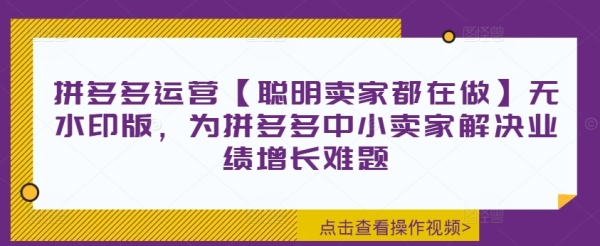 拼多多运营【聪明卖家都在做】无水印版，为拼多多中小卖家解决业绩增长难题 - 163资源网-163资源网