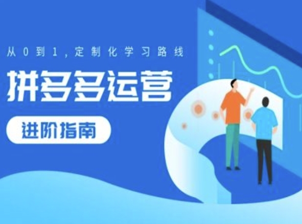 拼多多运营进阶指南，从0到1定制化学习路线 - 163资源网-163资源网