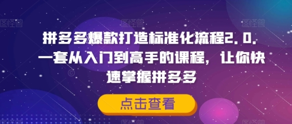 拼多多爆款打造标准化流程2.0，一套从入门到高手的课程，让你快速掌握拼多多 - 163资源网-163资源网