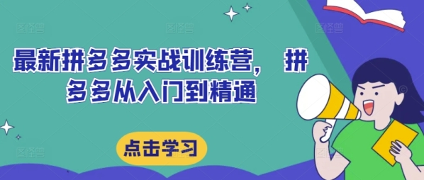 最新拼多多实战训练营， 拼多多从入门到精通 - 163资源网-163资源网