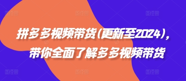 拼多多视频带货(更新至2024)，带你全面了解多多视频带货 - 163资源网-163资源网