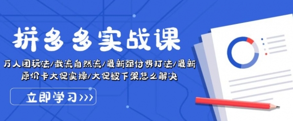 拼多多实战课：万人团玩法/截流自然流/最新强付费打法/最新原价卡大促.. - 163资源网-163资源网