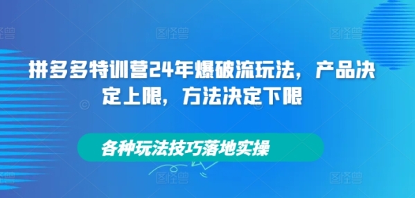 拼多多特训营24年爆破流玩法，产品决定上限，方法决定下限，各种玩法技巧落地实操 - 163资源网-163资源网