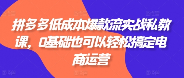 拼多多低成本爆款流实战私教课，0基础也可以轻松搞定电商运营 - 163资源网-163资源网