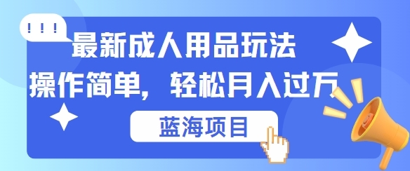 最新成人用品项目玩法，操作简单，动动手，轻松日入几张【揭秘】 - 163资源网-163资源网