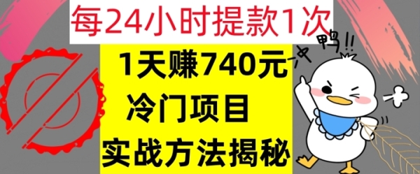 1天赚740元，24小时提款1次，冷门项目，实战方法公开【干货】 - 163资源网-163资源网