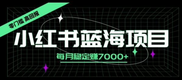 小红书蓝海项目，零门槛、高回报，每月稳定赚7000+ - 163资源网-163资源网