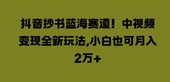 抖音抄书蓝海赛道，中视频变现全新玩法，小白也可月入2W+ - 163资源网-163资源网