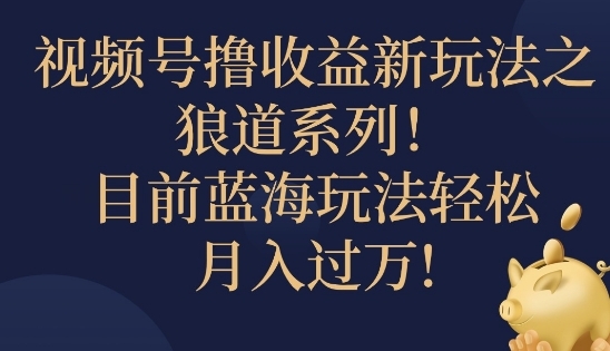 视频号暴力撸收益新玩法之狼道系列，目前蓝海玩法轻松月入过万 - 163资源网-163资源网