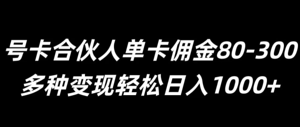 号卡合伙人单卡佣金80-300，多种变现轻松日入1k - 163资源网-163资源网