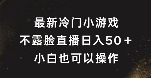 最新冷门游戏不露脸直播，轻松日入50+，小白也可操作 - 163资源网-163资源网