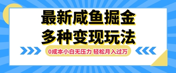 最新咸鱼掘金玩法，0成本小白无压力，多种变现方式，轻松月入过W - 163资源网-163资源网