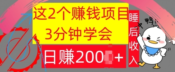 这2个项目，3分钟学会，日赚几张，懒人捡钱 - 163资源网-163资源网