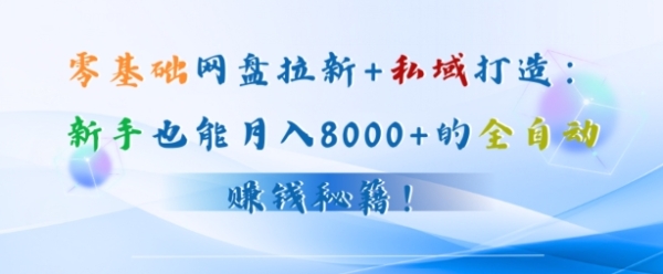 零基础网盘拉新+私域引流：新手也能月入50000+的全自动赚钱秘籍! - 163资源网-163资源网