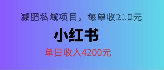 小红书减肥私域项目，每单210元，单日可卖出15单，利润3150 - 163资源网-163资源网