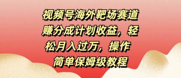 视频号海外靶场赛道赚分成计划收益，轻松月入过万，操作简单保姆级教程 - 163资源网-163资源网