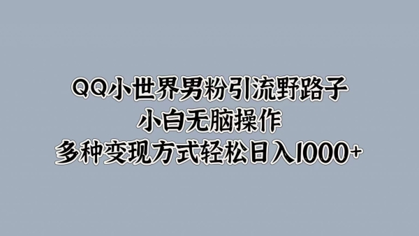 QQ小世界男粉引流野路子，小白无脑操作，多种变现方式 - 163资源网-163资源网