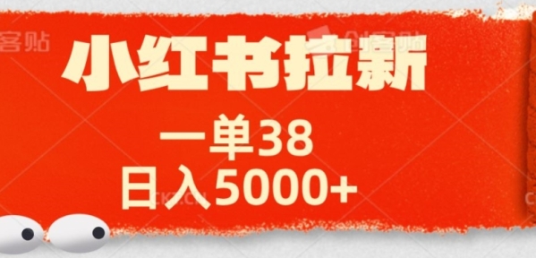 小红书拉新项目，一单38元，操作简单发发朋友圈就行 - 163资源网-163资源网