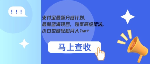 支付宝最新分成计划，最新蓝海项目，独家高级玩法，小白也能轻松月入1w+ - 163资源网-163资源网