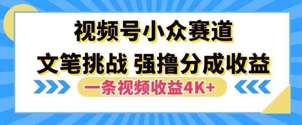 视频号新赛道之文笔挑战，强撸分成收益，一条视频赚了4K+ - 163资源网-163资源网