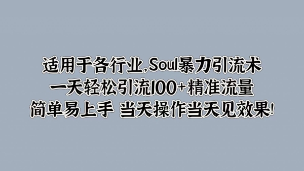 Soul暴力引流术，一天轻松引流100+精准流量，简单易上手 当天操作当天见效果! - 163资源网-163资源网