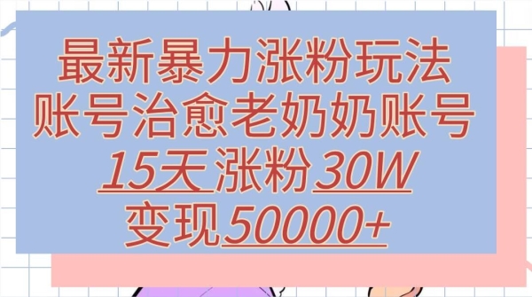 最新暴力涨粉玩法，治愈老奶奶账号，15天涨粉30W，变现至少五位数+ - 163资源网-163资源网