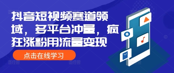 抖音短视频赛道领域，多平台冲量，疯狂涨粉用流量变现 - 163资源网-163资源网