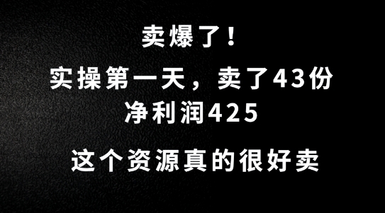 这个资源，需求很大，实操第一天卖了43份，净利润425【揭秘】 - 163资源网-163资源网