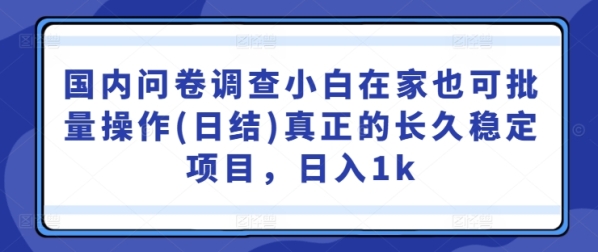 国内问卷调查小白在家也可批量操作(日结)真正的长久稳定项目，日入1k【揭秘】 - 163资源网-163资源网