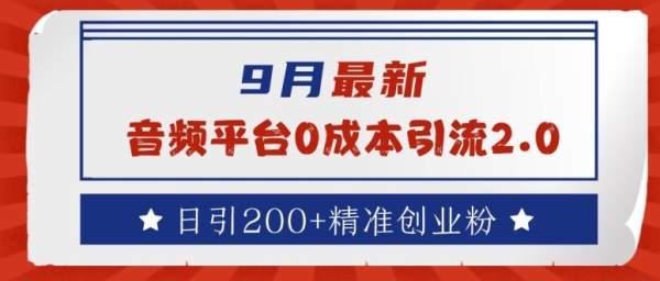 9月最新：音频平台0成本引流，日引200+精准创业粉【揭秘】 - 163资源网-163资源网