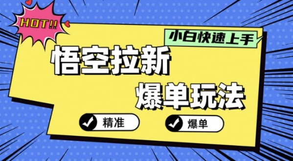 悟空拉新爆单玩法，精准引流，小白分分钟上手 - 163资源网-163资源网