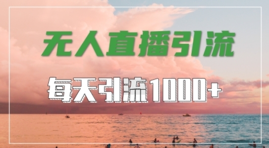 抖音快手视频号全平台通用，无人直播引流法，超暴力引流1000+高质量精准创业粉【揭秘】 - 163资源网-163资源网