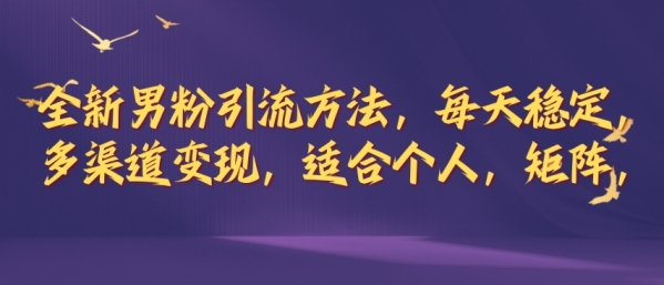 全新男粉引流方法，每天稳定加人，适合个人，矩阵，多渠道变现 - 163资源网-163资源网