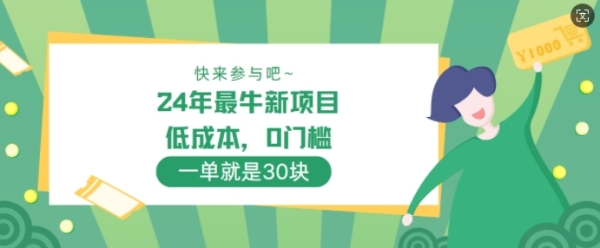 24年最牛新项目，低成本，0门槛 ，一单就是30块，轻松月入1w - 163资源网-163资源网