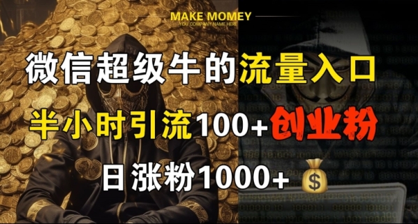 微信超级牛的流量入口，半小时引流100+创业粉，日涨粉1000+ - 163资源网-163资源网