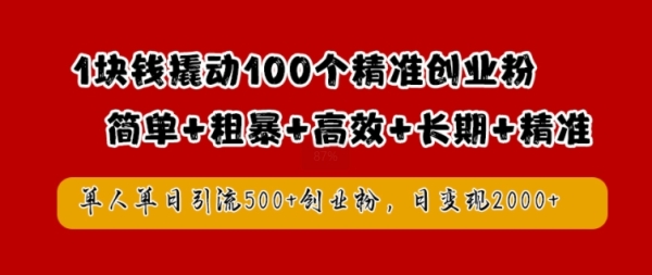 1块钱撬动100个精准创业粉，简单粗暴高效长期精准，单人单日引流500+创业粉，日变现2k【揭秘】 - 163资源网-163资源网