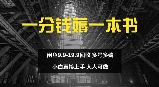 一分钱薅一本书 闲鱼9.9-19.9回收 多号多薅 小白直接上手 - 163资源网-163资源网