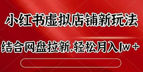 小红书虚拟店铺新玩法，结合网盘拉新，轻松月入1w - 163资源网-163资源网