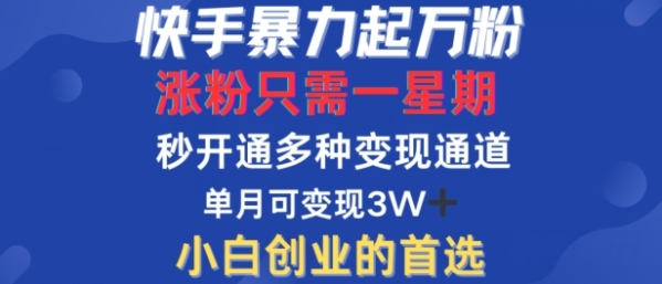 快手暴力起万粉，涨粉只需一星期，多种变现模式，直接秒开万合，单月变现过W【揭秘】 - 163资源网-163资源网