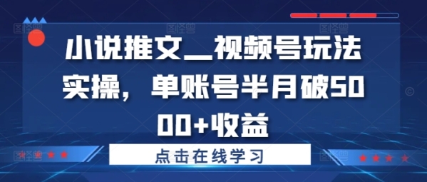 小说推文—视频号玩法实操，单账号半月破5000+收益 - 163资源网-163资源网