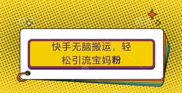 快手无脑搬运，轻松引流宝妈粉，纯小白轻松上手【揭秘】 - 163资源网-163资源网