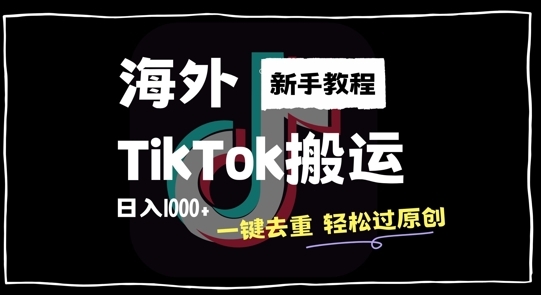 2024最新海外TikTok搬运玩法，一键去重轻松过原创，新手无经验也能日入1k【揭秘】 - 163资源网-163资源网