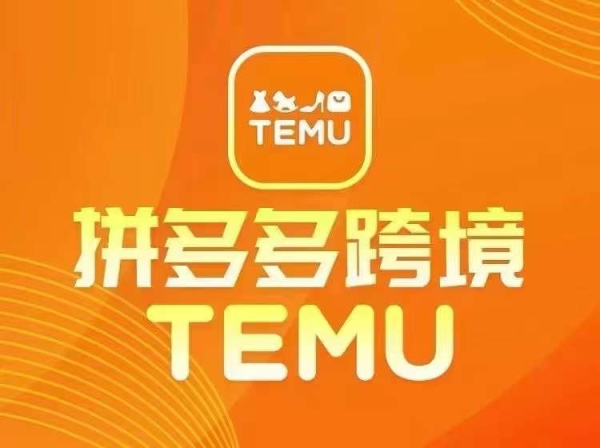 最新TEMU拼多多跨境教程，开店、运营、选品 - 163资源网-163资源网