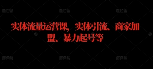 实体流量运营课，实体引流、商家加盟、暴力起号等 - 163资源网-163资源网