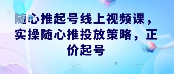 随心推起号线上视频课，实操随心推投放策略，正价起号 - 163资源网-163资源网