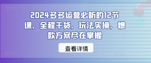 2024多多运营必听的12节课，全程干货，玩法实操，爆款方案尽在掌握 - 163资源网-163资源网