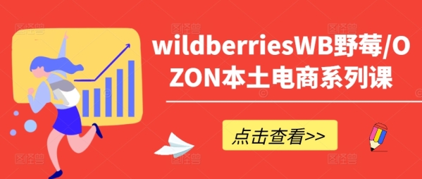 wildberriesWB野莓/OZON本土电商系列课，掌握WB产品优化，出单技巧和订单处理等 - 163资源网-163资源网