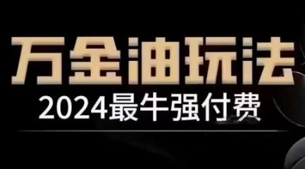 2024最牛强付费，万金油强付费玩法，干货满满，全程实操起飞 - 163资源网-163资源网