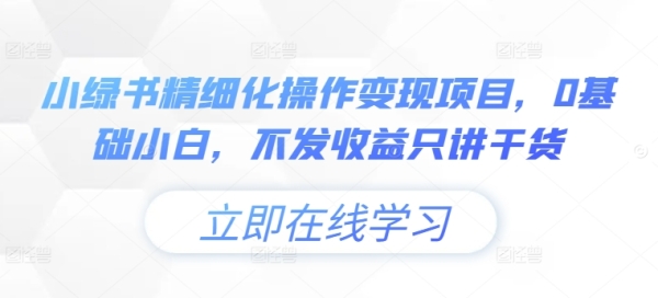 小绿书精细化操作变现项目，0基础小白，不发收益只讲干货 - 163资源网-163资源网